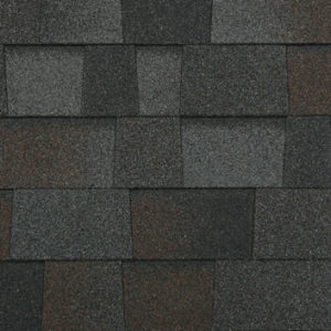 Malarkey Legacy Black Oak Architectural Shingles
